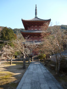 太山寺3